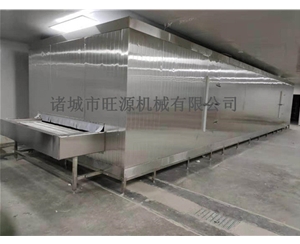 菠菜低溫隧道式單凍機